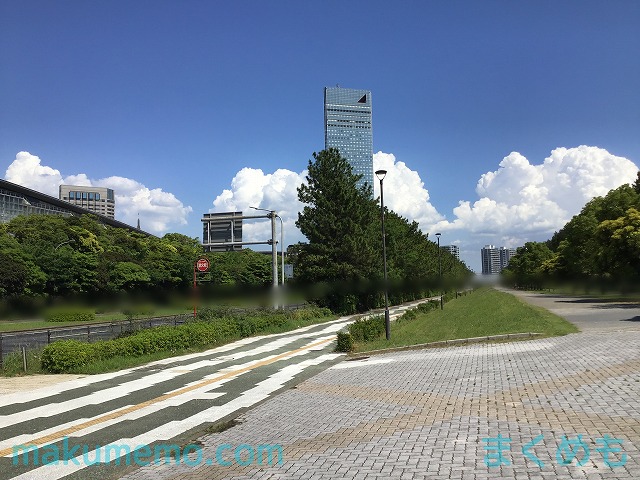 第二東京湾岸道路を再び阻止 千葉県湾岸地区道路検討会が三番瀬回避の基本方針