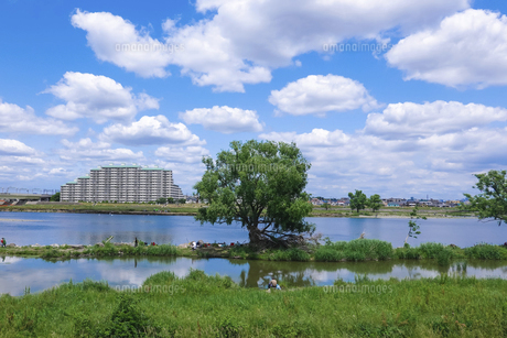 川崎市多摩区 展示台数400台以上！自転車専門店ダイワサイクル川崎宿河原店が3 28 金 オープン！2025年3月28日- エキサイトニュース
