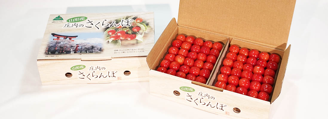 札幌丸井今井・きたキッチンにて販売！！