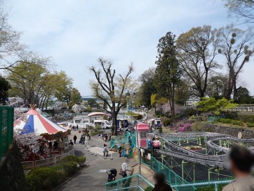 前橋公園 桜祭り群馬が大好きだから群馬に戻ってきた
