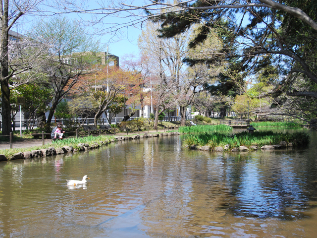 宝来公園 から近くて安い駐車場特Pとくぴー