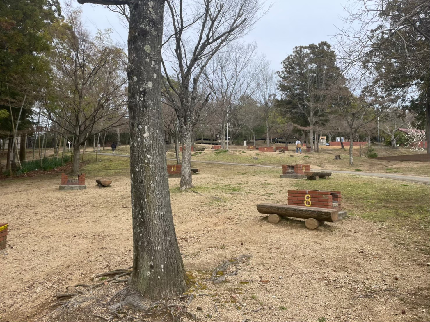 峰山キャンプ場スポット・体験香川県観光協会公式サイト - うどん県旅ネット