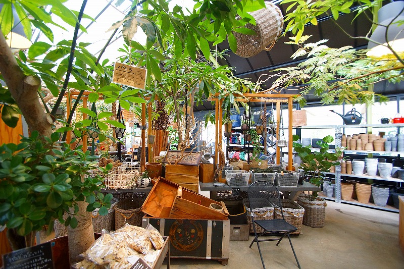 ザファームユニバーサルユニバーサル園芸社茨木市おでかけぶろぐ