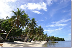 ヤップ島のダイビング、スノーケリング、エコツアー : Nature's Way ネイチャーズウエイ