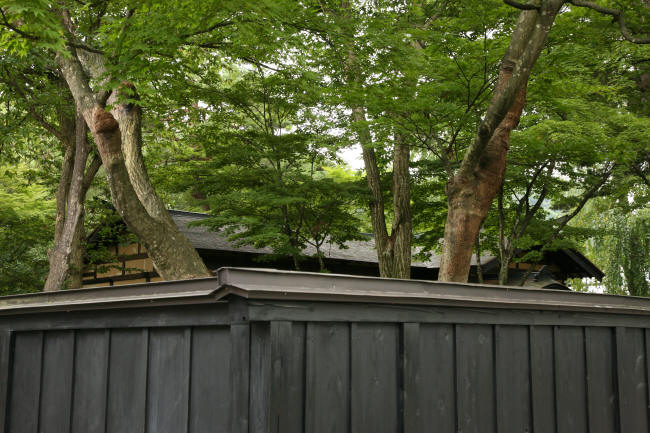 海坂藩の風景 たそがれ清兵衛 清水の農道・鶴岡藤沢周平没後20年、生誕90年山形新聞