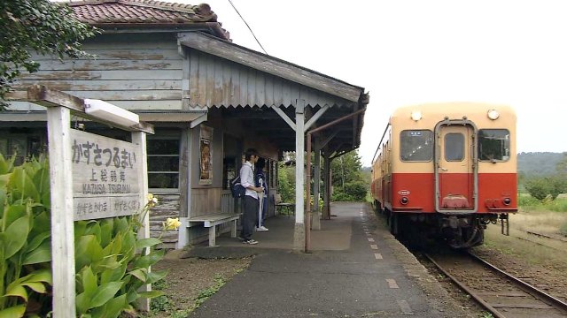 ミントさんの投稿 上総鶴舞駅ことりっぷ