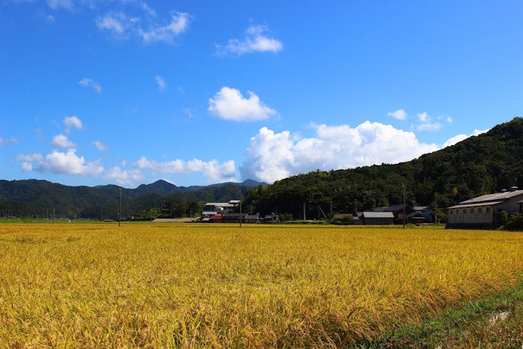 間人温泉 炭平 離れ『季音庵』新客室 温泉旅館網野駅店舗デザイン.COM