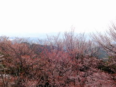 高城山展望台ニッポン旅マガジン