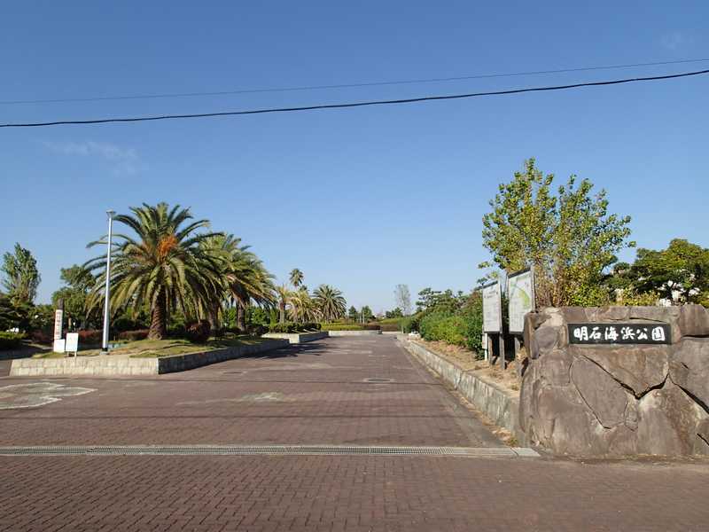 明石市 明石海浜公園の桜を見に行ってきました☆号外NET 明石市
