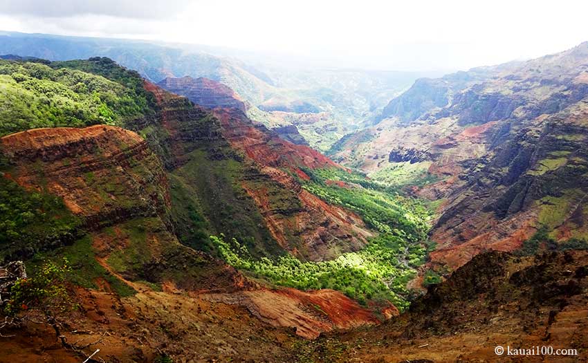 Waimea Valley ワイメア渓谷 オアフ島,ハワイ - 観光地 口コミ・評判・画像 - 留学thank you