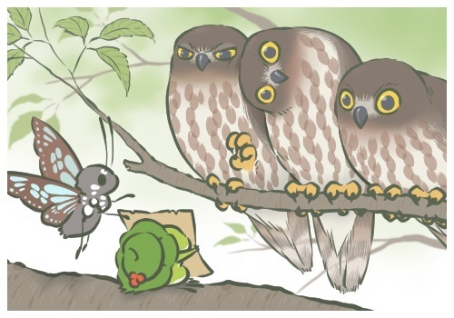 旅かえる 夏写真＆今度は沖縄のようだ - ブログ引越し検討中仮住まい