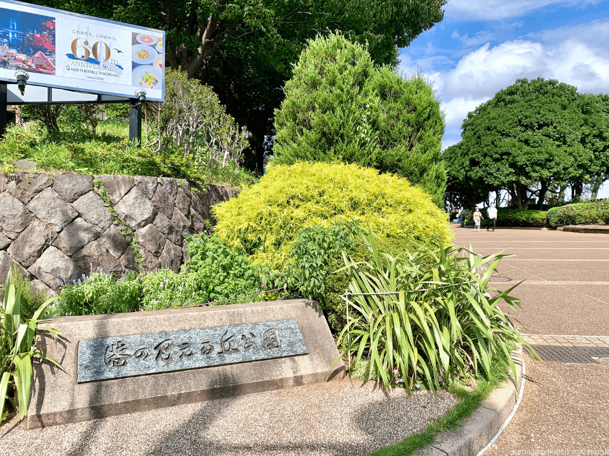 関東甲信の初日の出おすすめスポット 犬吠埼や富士山、都内の穴場も