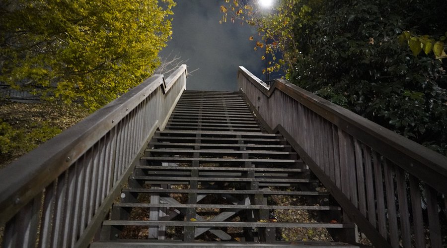 能登の桜名所！前田利家が築いた小丸山城跡の「小丸山城址公園」七尾市のとルネ