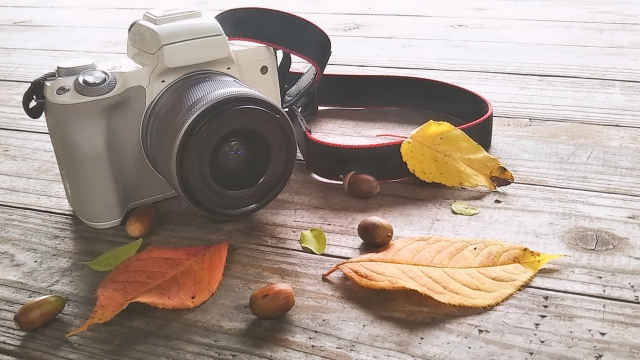 1台2役や世界最小まで種類も豊富！人気“デジタルトイカメラ”特集Emo!miuエモミュ