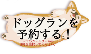 ワンちゃんと楽しめる施設 🐕 1年通して楽しめるドッグラン🐕 カフェグランベリー隣接のドッグランスペース。無料で、ワンちゃんを自由に遊ばせることができます！ ぜひお気軽にお立ち寄りください✨ 🐕 ペット同伴スペース🐕 \ オフシーズン限定販売・カフェのお