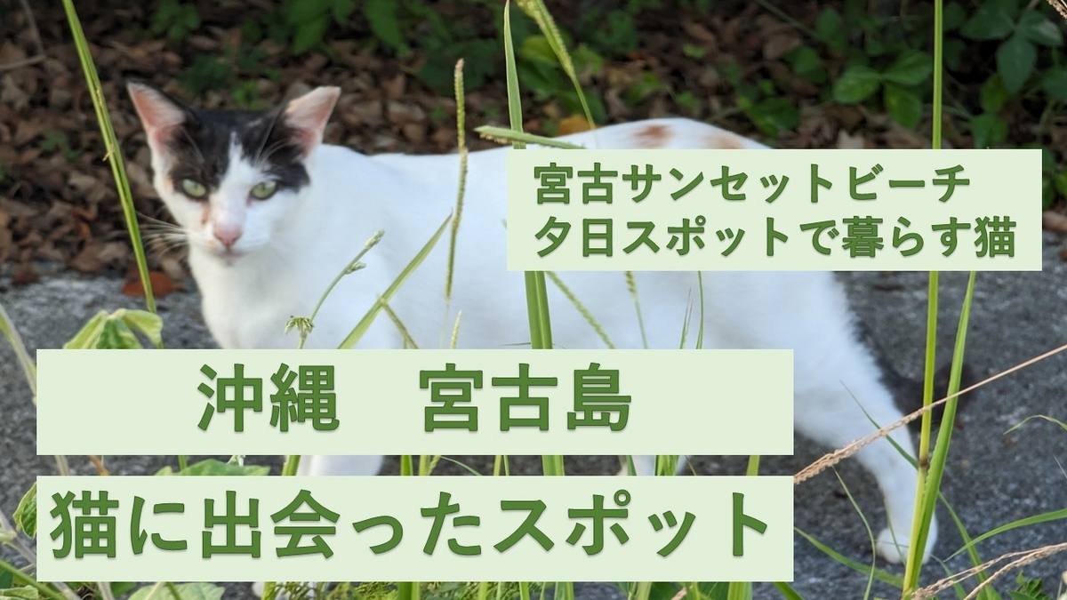 みやこサンセットビーチ 宮古島たびらい