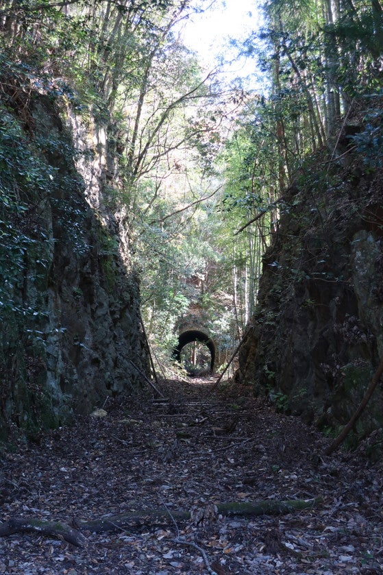 豊橋鉄道田口線 廃線跡 写真素材5856875- フォトライブラリー photolibrary