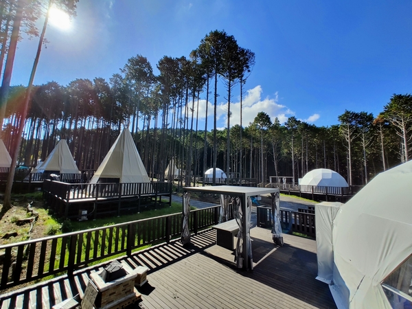 四万十 山みず木 - グランピング・リバーサイドフォレスト3 ※最大8名 高知県 四万十市Rakuten Oyado