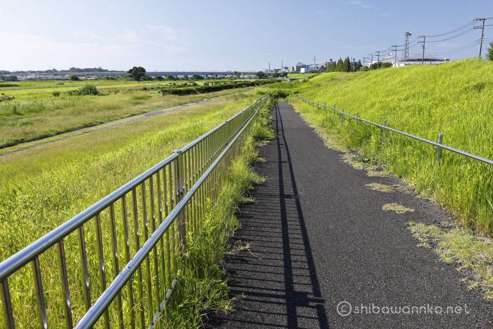 金目川サイクリングコースを・。 - Kaze1952's diary