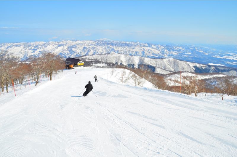 2017 01 25 長野県 戸狩温泉スキー場 “パウダーツリーランの映像”NO SNOW NO LIFE