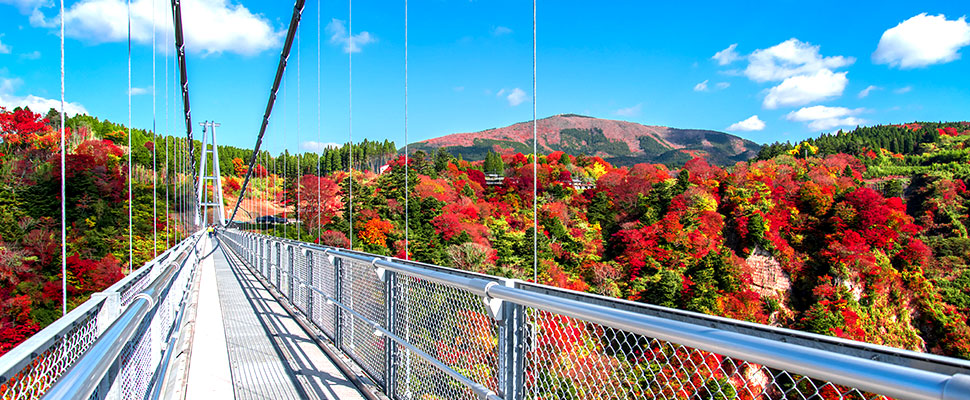 茨木市の安威川ダムに「日本一長い吊り橋」ができるようです！現地の様子を見てきました！「Enjoy EXPO」〜万博記念公園エリアの地域情報サイト
