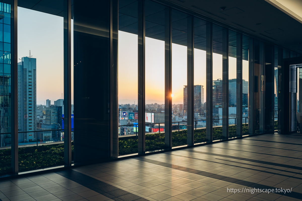 渋谷で夜景を見るなら！無料スポットもある絶景展望スポットおすすめ5選 - LIVE JAPAN日本の旅行・観光・体験ガイド