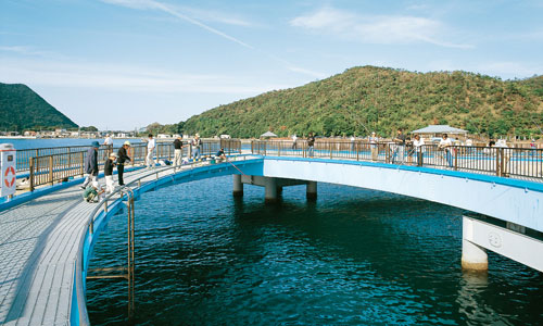 若狭高浜海釣り公園の写真素材 - PIXTA