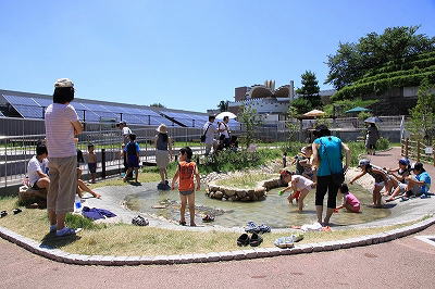 ユーザ投稿タッチプールがあったり、里海の水槽 』姫路市立水族館の写真子供とお出かけ情報「いこーよ」