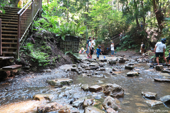 横浜唯一の渓谷、「陣ヶ下渓谷」で出会う美しい自然と癒しの風景パークストーリーkanagawa