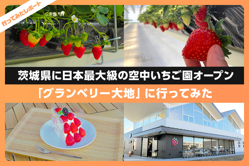 大沢町のいちご狩り2021