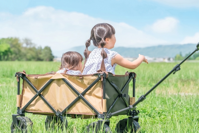 ワンダーフォールド M1 バシネット 赤ちゃん ベッド 1人乗りワゴン用 シングル ストローラー ワゴン オプション : BBRベビー - 通販 -Yahoo!ショッピング