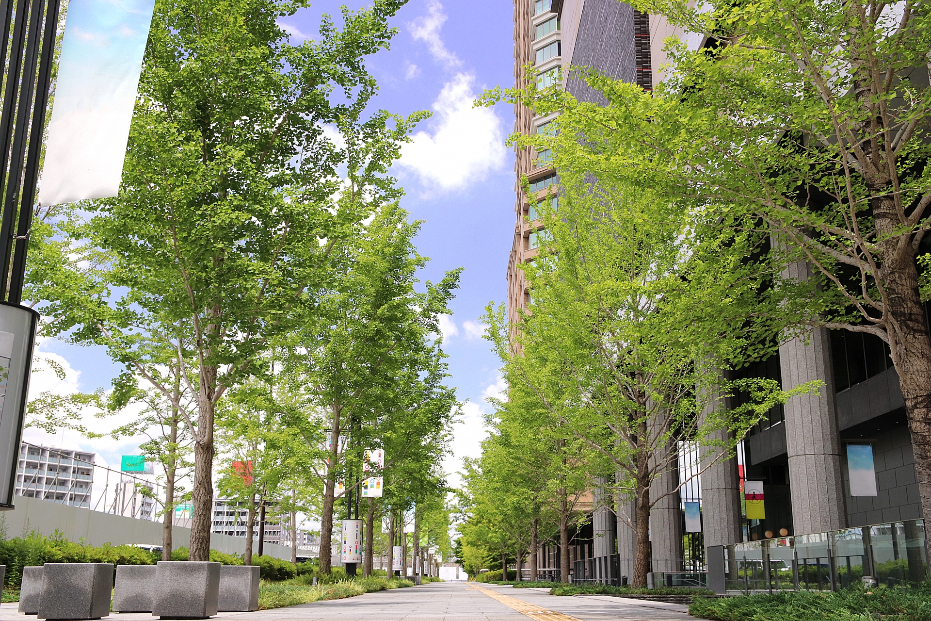 板橋区仲宿商店街の看板と街並み - No: 22732817写真素材なら「写真AC」無料 フリー ダウンロードOK