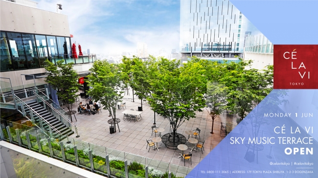 渋谷フクラス SHIBUYA FUKURAS の17階屋上広場「SHIBU NIWA」から望む渋谷スクランブルスクエア SHIBUYASCRAMBLE SQUARE 展望台「SHIBUYA SKY」