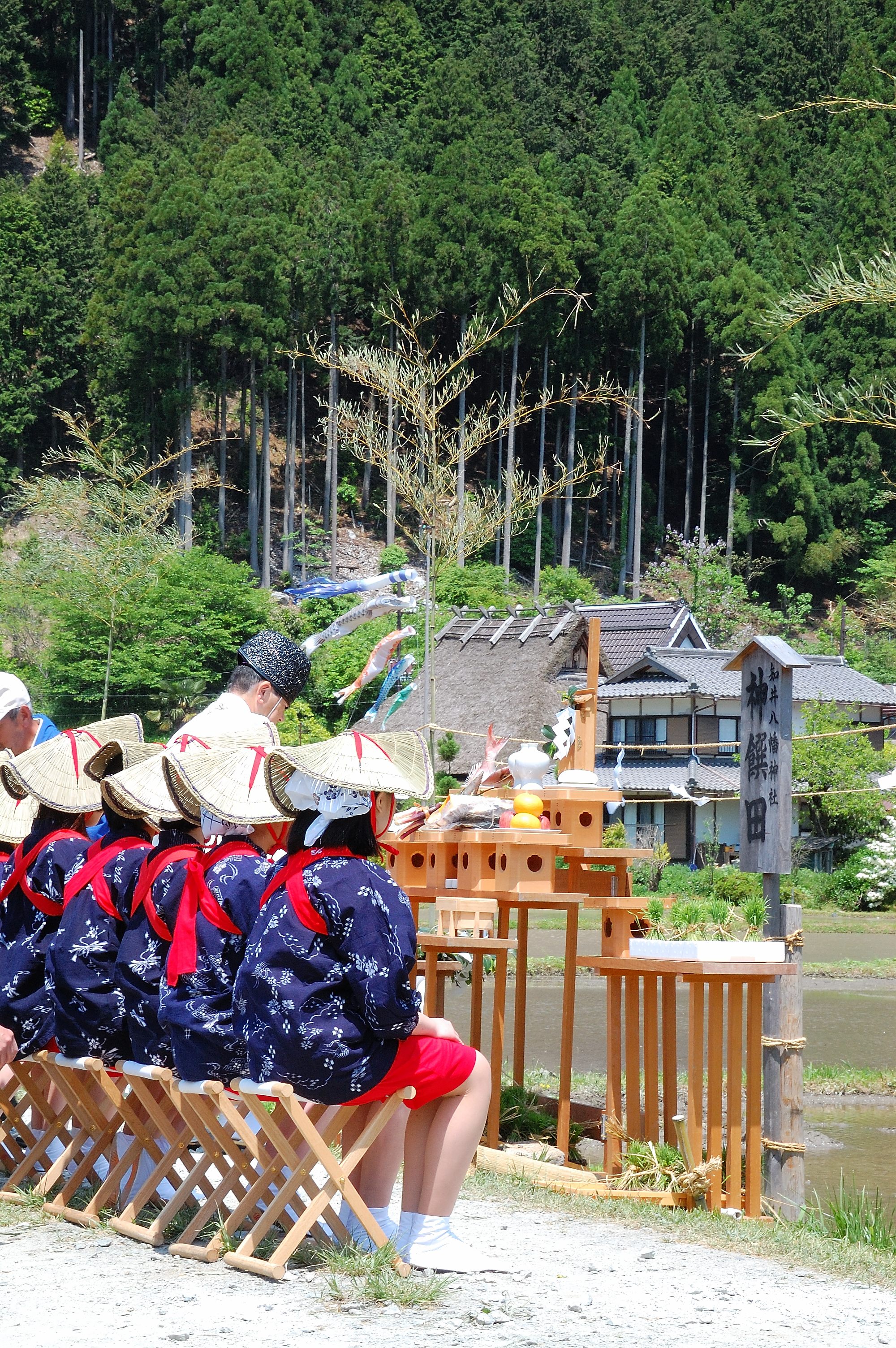 フリー写真早乙女パブリックドメインQ：著作権フリー画像素材集