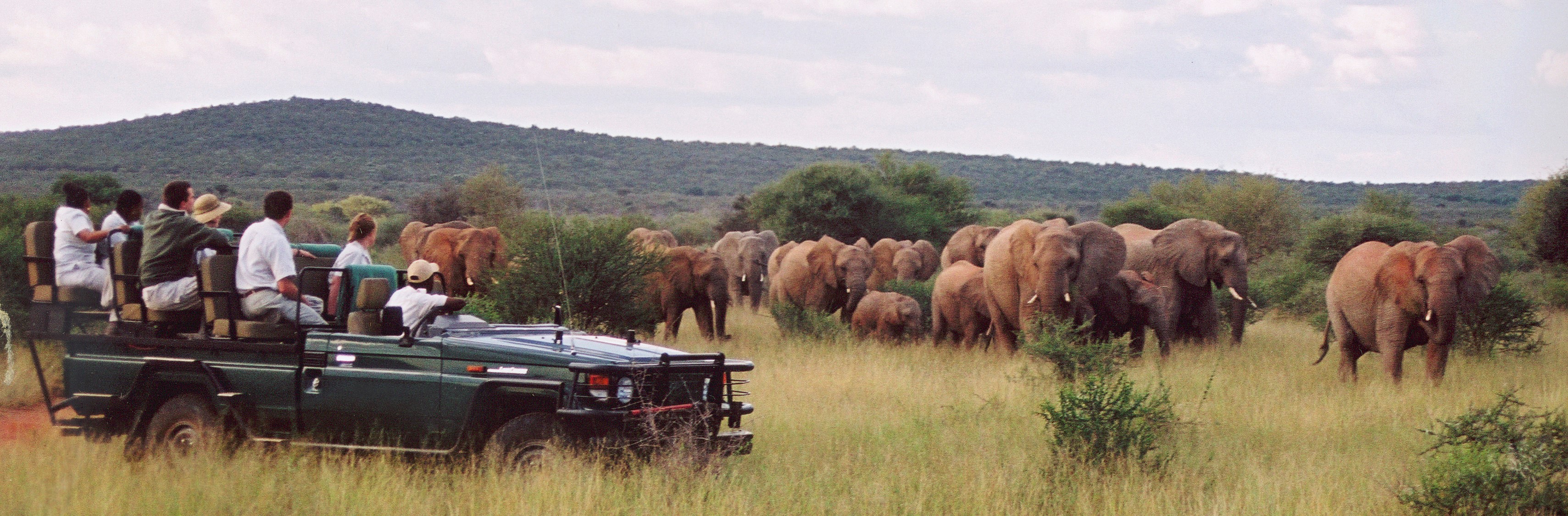 2025年最新 アフリカ旅行のおすすめエリア11選と絶対外せないサファリ！ティースタイル - オーダーメイドツア