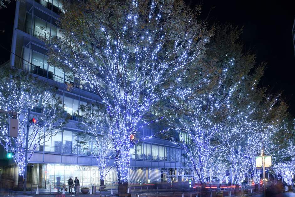 東京・関東のおすすめイルミネーション2024-2025楽天トラベル