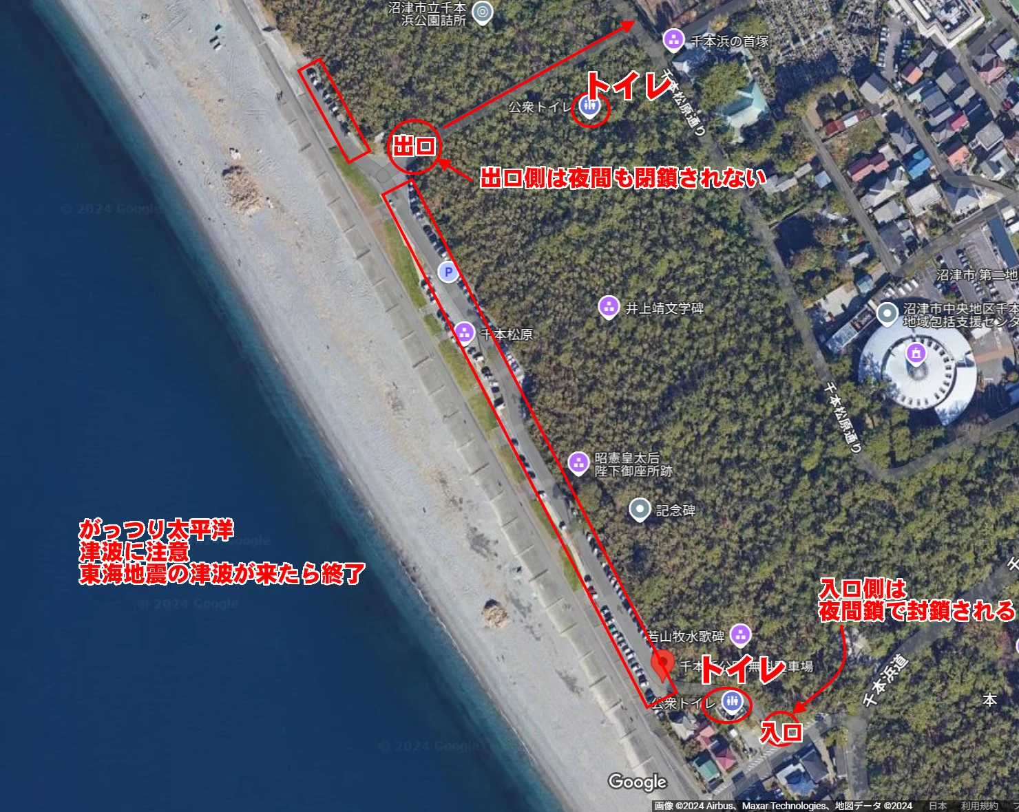 沼津の千本浜公園での自然散策体験