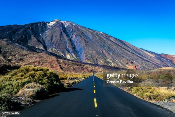 テイデ国立公園限定プライベートツアー 2025 - テネリフェ