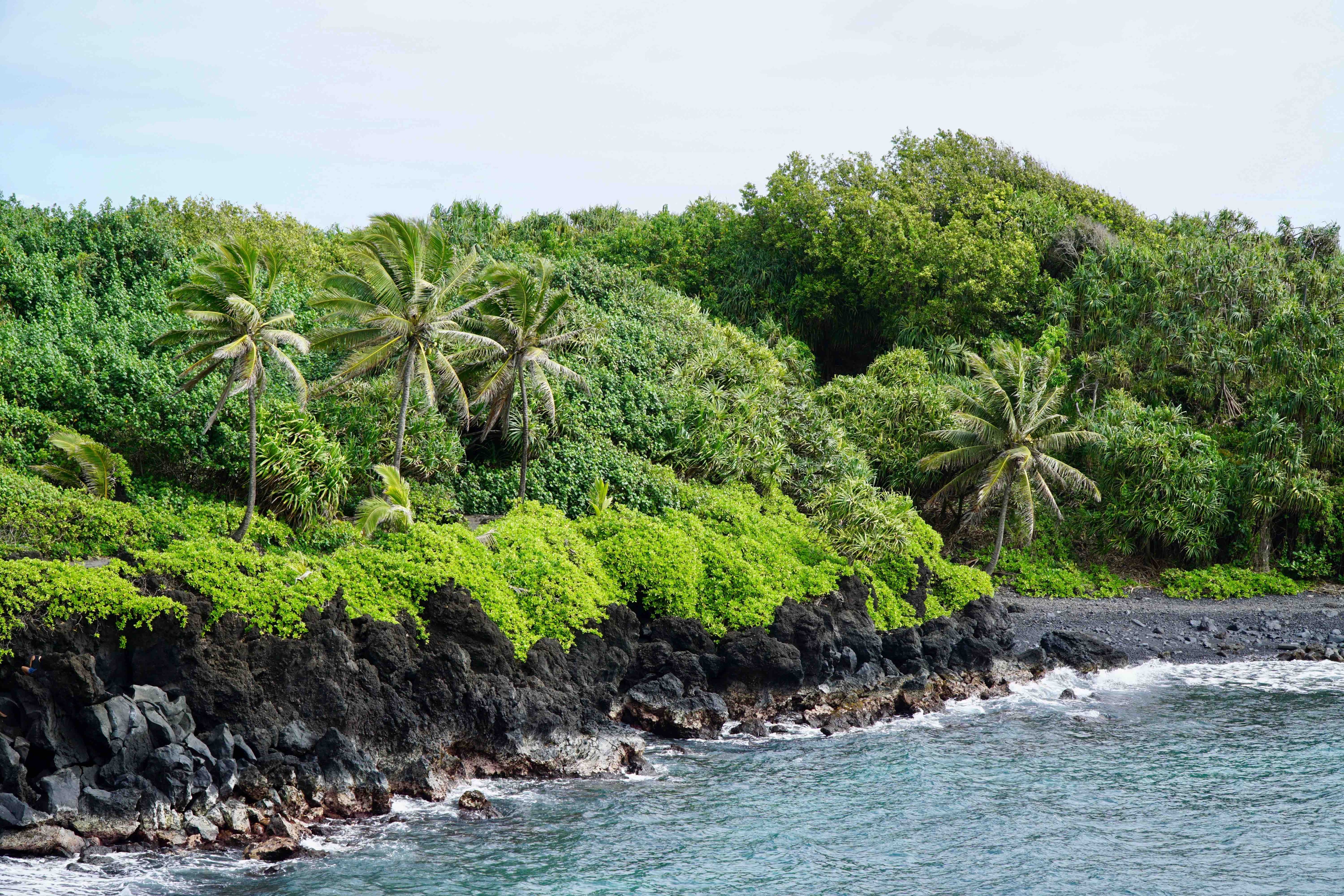 マウイのハナへの道：日帰り旅行、ヒント、価格ガイド - Hellotickets