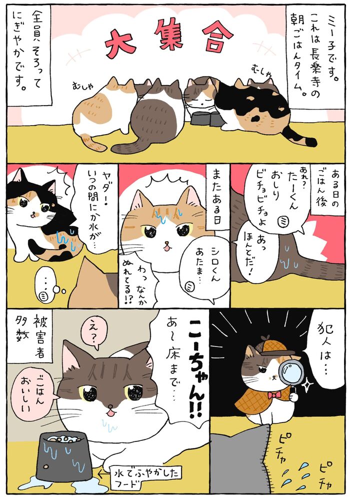 猫の抗がん剤治療と漢方：くらす秘訣と家族の笑顔