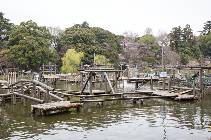 初めての水上アスレチック。出だしの 』清水公園のritzさんの口コミ子供とお出かけ情報「いこーよ」