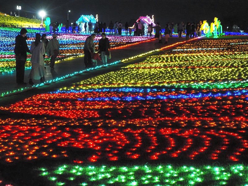 東京ドイツ村、イルミネーション開幕 カラフル「光の地上絵」で幻想的な夜を 今季は「ガリバー物語」題材 袖ケ浦千葉日報オンライン