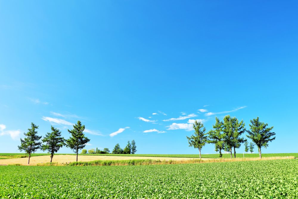 一度は行ってみたい！人気の星の名所5選！ 日本編ステラルーム