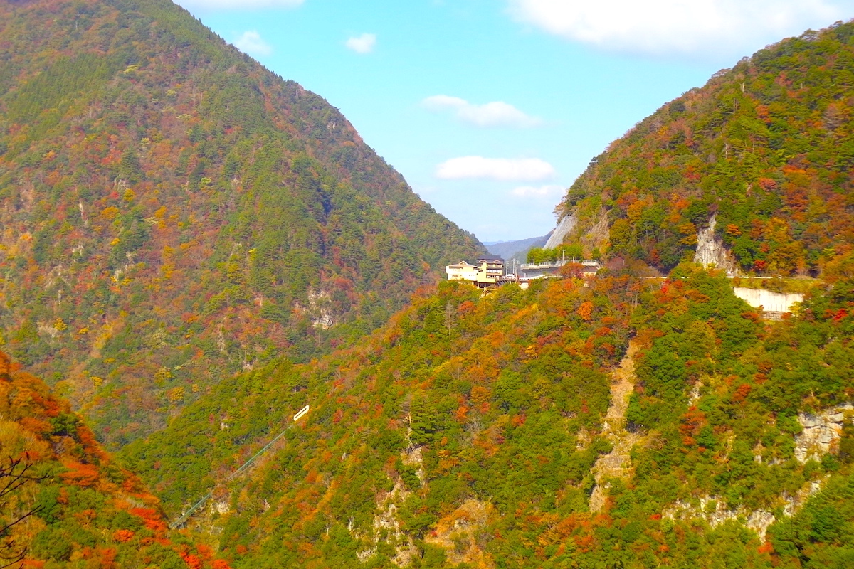 大歩危・祖谷の半日観光モデルコース！3つのかずら橋と小便小僧・ひの字渓谷をめぐる旅 - だいたい国内ひとり旅
