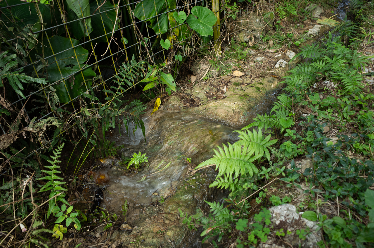 垣花樋川 で遊ぼう！南城市の水遊び場♪※かきのはなひーじゃー – 沖縄 de 遊ぼ♪