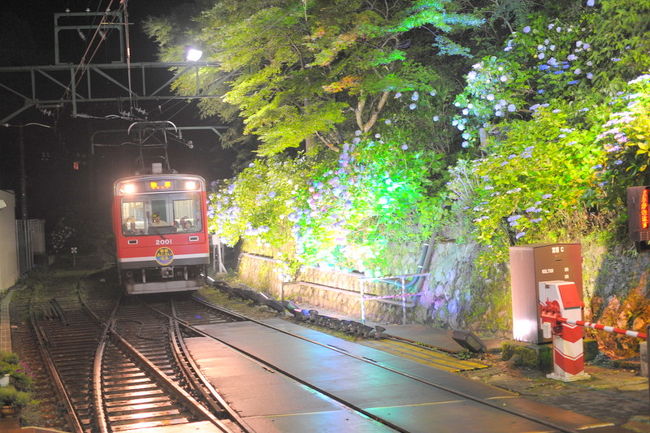 夜の電車 : Hayato 50mm