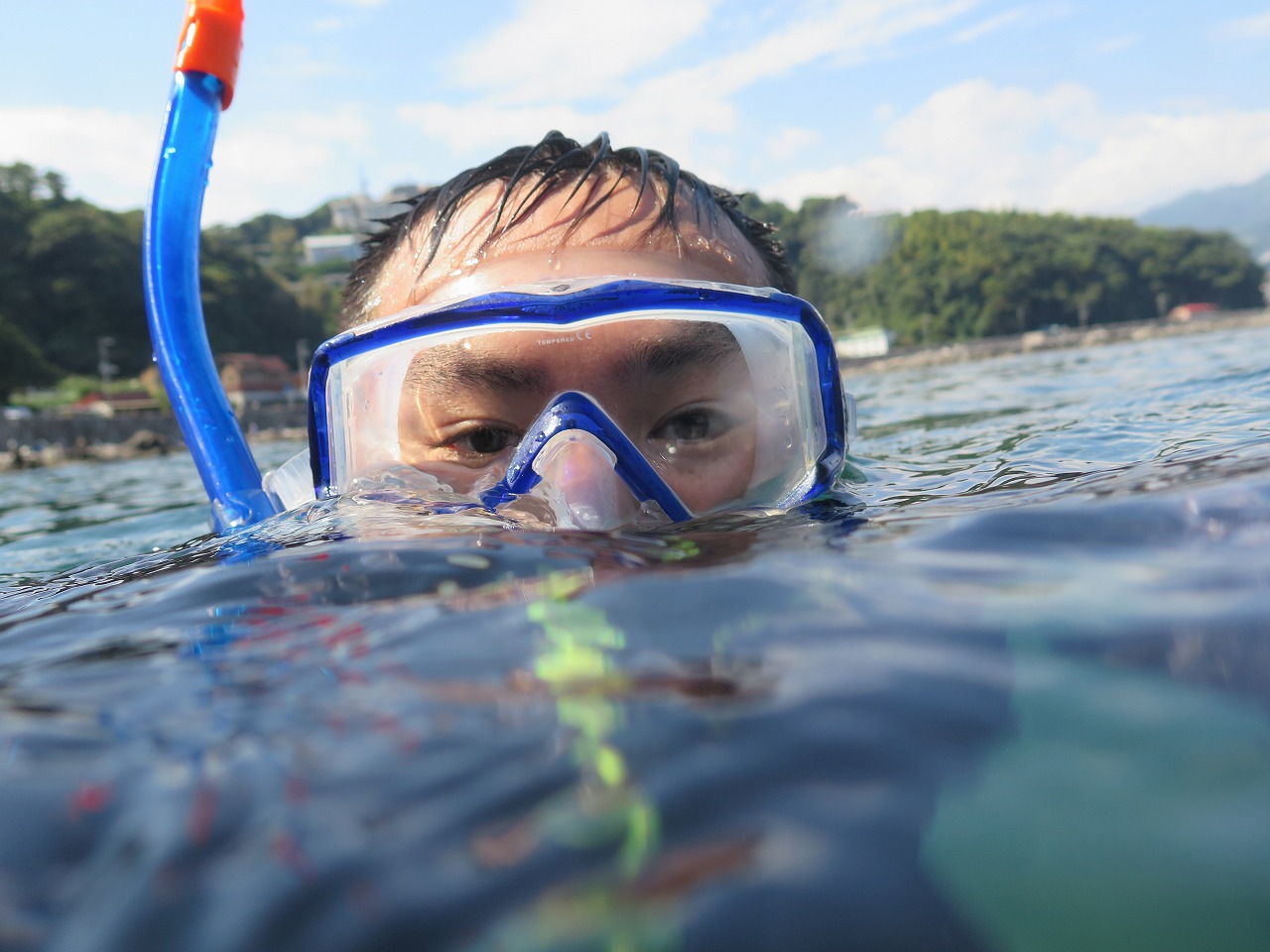 孤独な海水浴 秋の真鶴・番場浦でカニと激闘！シュノーケリングも楽しんだよFight fiercely with crabs in Manazurupeninsula