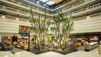 京都の船岡温泉周辺のホテル 2025おすすめ旅館・宿Trip.com