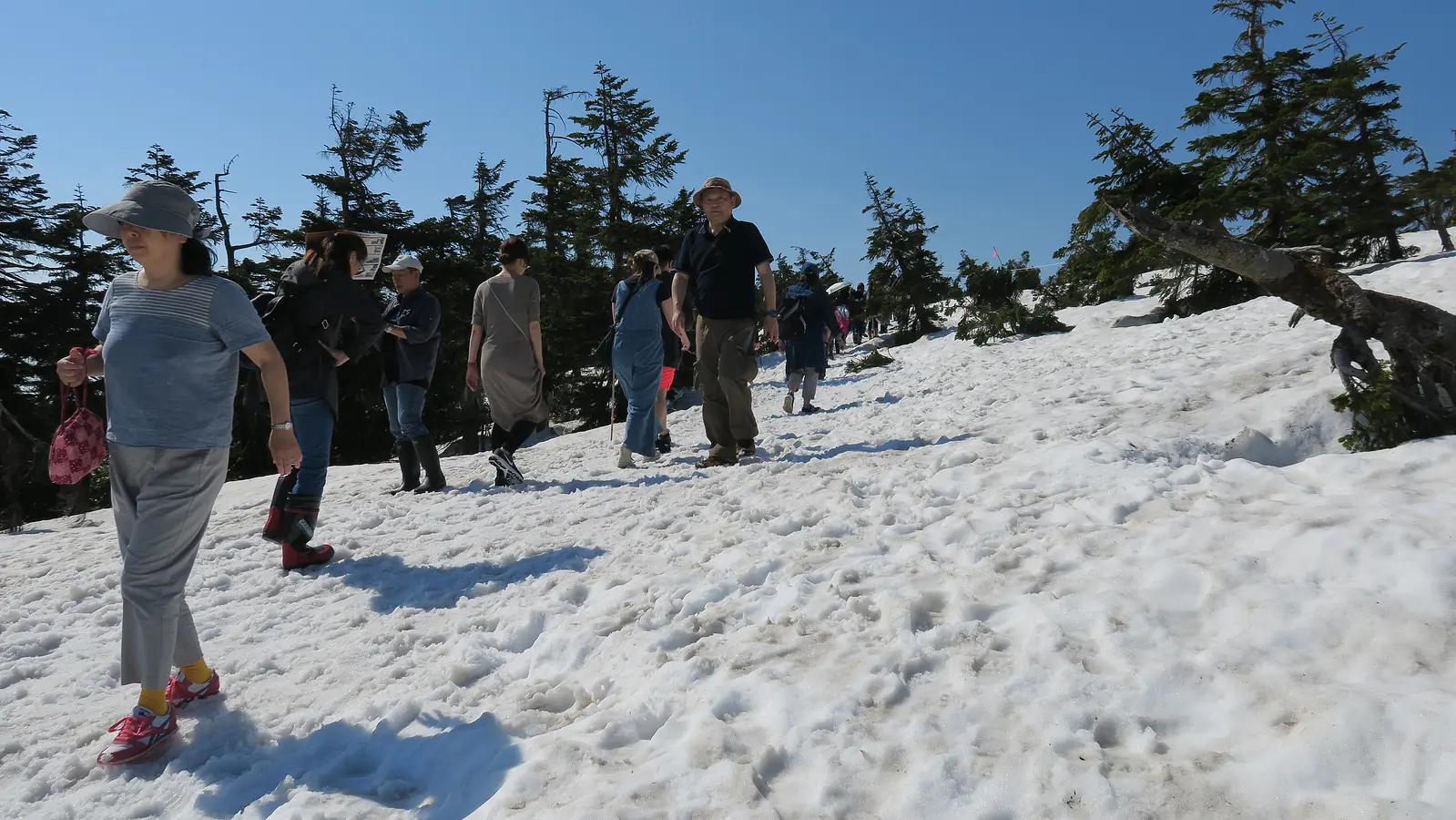 2024年5月 ドラゴンアイが観たくて、八幡平ハイク！ 2泊3日の旅』八幡平 岩手側岩手県 の旅行記・ブログ by Lomieさん フォートラベル