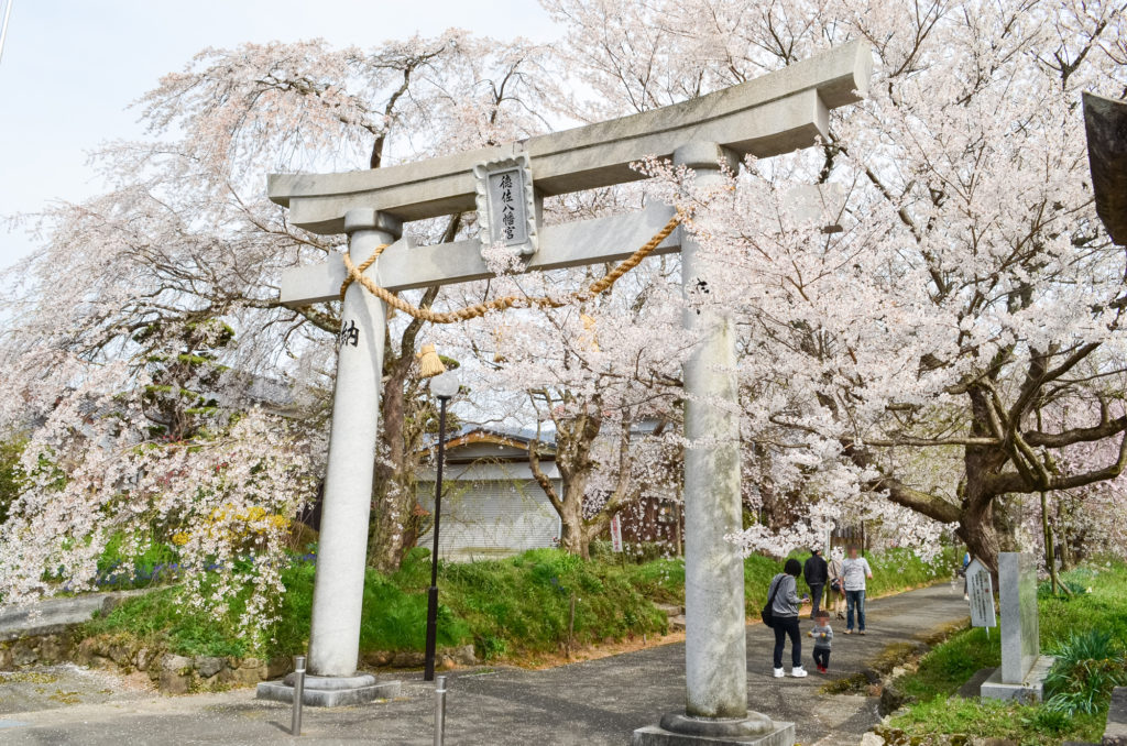 お出かけスポットお出かけスポット山口マツダ